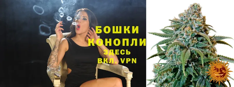 МАРИХУАНА White Widow  Великий Устюг 